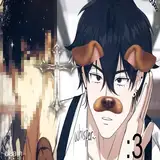 Neko allann