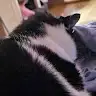 Bad_bitch