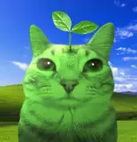Lemonii