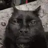 Averi