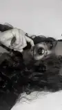 ✧༺ 𝔂𝓪𝓷𝓪𝓻𝓪𝓞𝓯𝓬 ༻✧