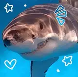 rueabigailimbaga