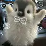 Kirmet