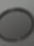 fleeme