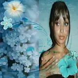 ally