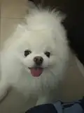 Itsuki
