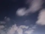 Zey