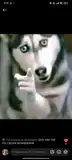 Naty
