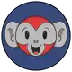 DROIDMONKEY