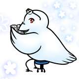 Silver Raven