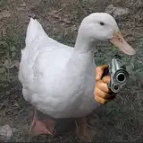 Alcatrazodone