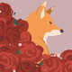 Fox and Ros
