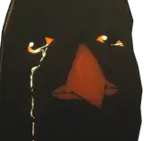 zozolkapucyn