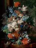 maris