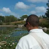 sal