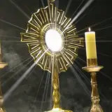 D20