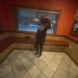 Kamiikam 🍰