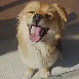 Lord
