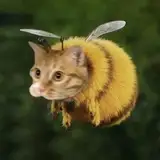 Karmaasojaaa