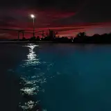 tck