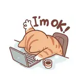 🐈‍⬛