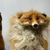 Да