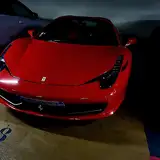 Patrisia