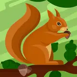 dewi