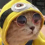 minnn