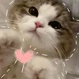 Areej
