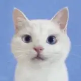 el