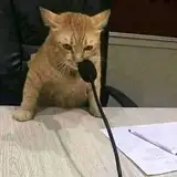 raraa