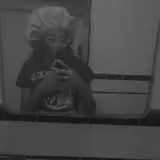 KassieLaraye