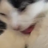 Jenny