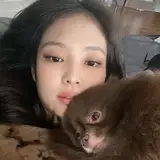Mel