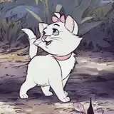 nusayaba