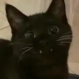Azukha