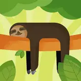 zen fata