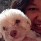 CL