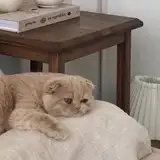 Minuu