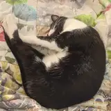 Zoe