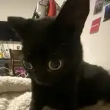 KMAB