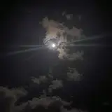 Lovely