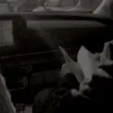 poohhh