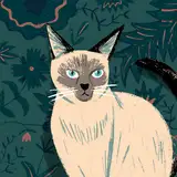 Misaki