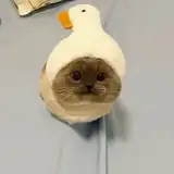lati