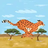 Rodamae