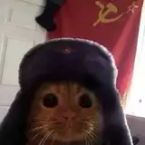 yuum