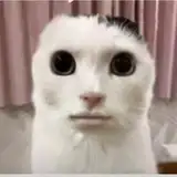 Victor