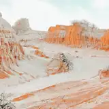 vic